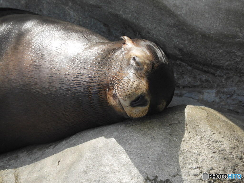 ＺＺＺ