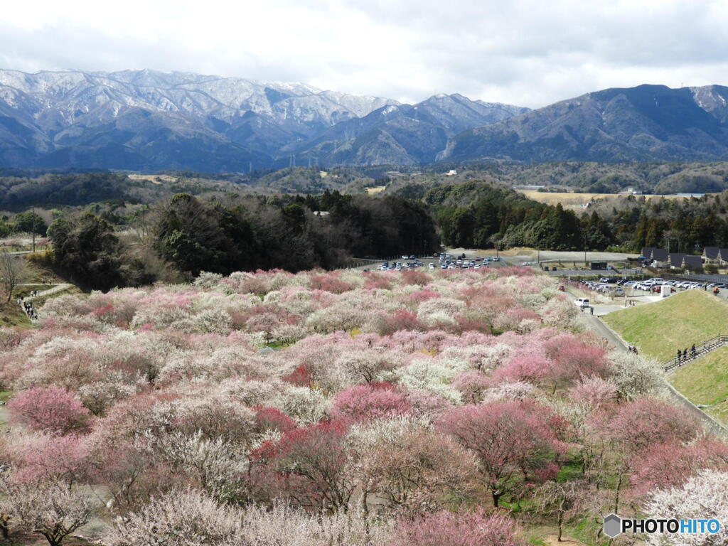 里山の彩