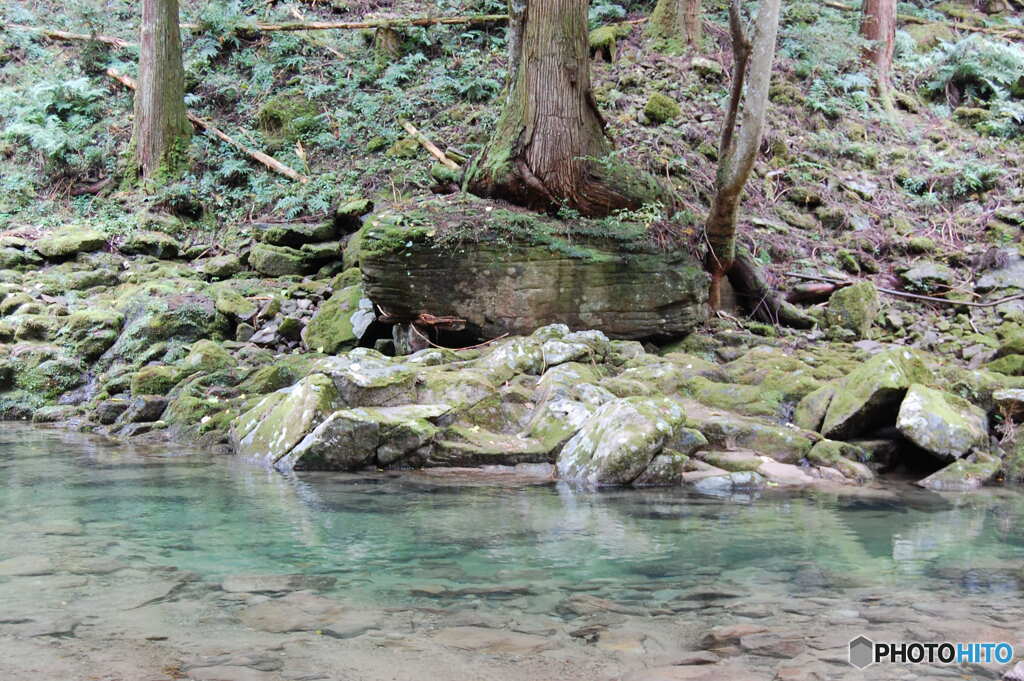 石の上にも何年・・・