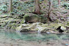 石の上にも何年・・・