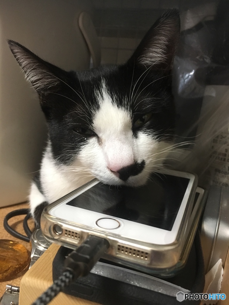 スマホみちゃダメ