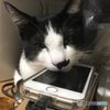 スマホみちゃダメ