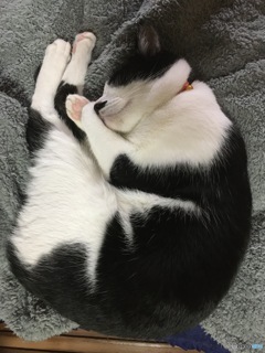 寝る子は育つ？