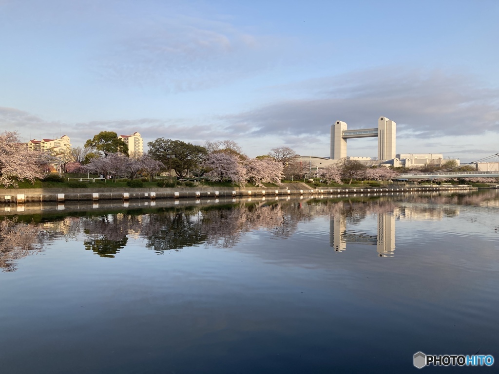 春の朝