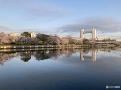 春の朝