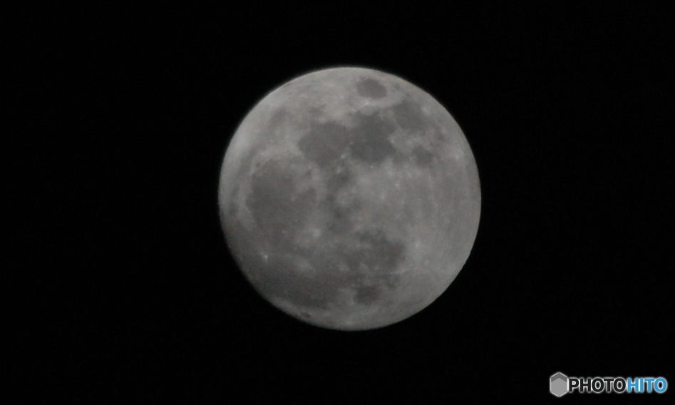 夜は夜で・・・。