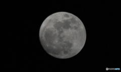 夜は夜で・・・。