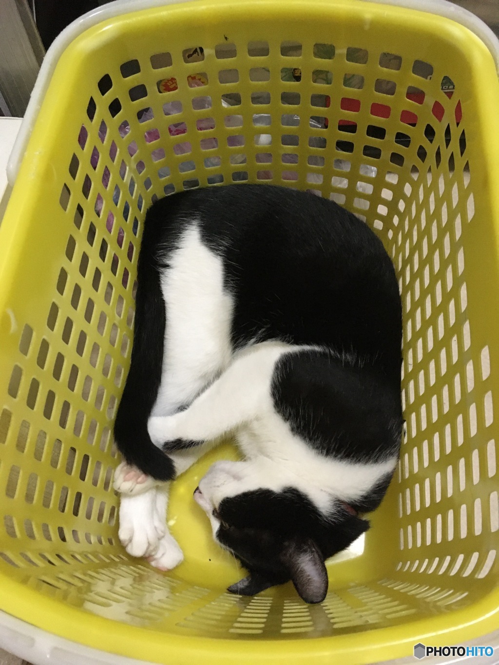 いつもの場所