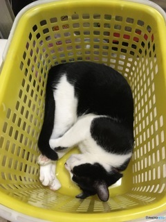 いつもの場所