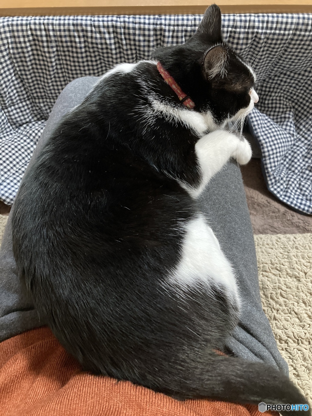 くつろぎ