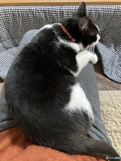 くつろぎ