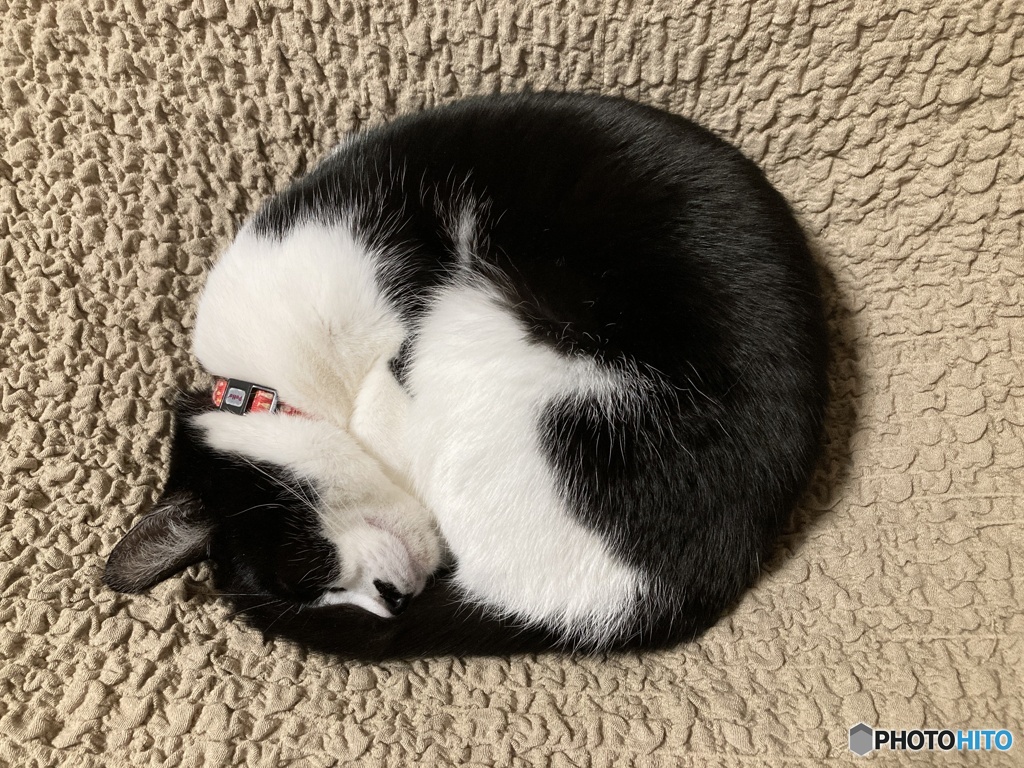 暖、暖、