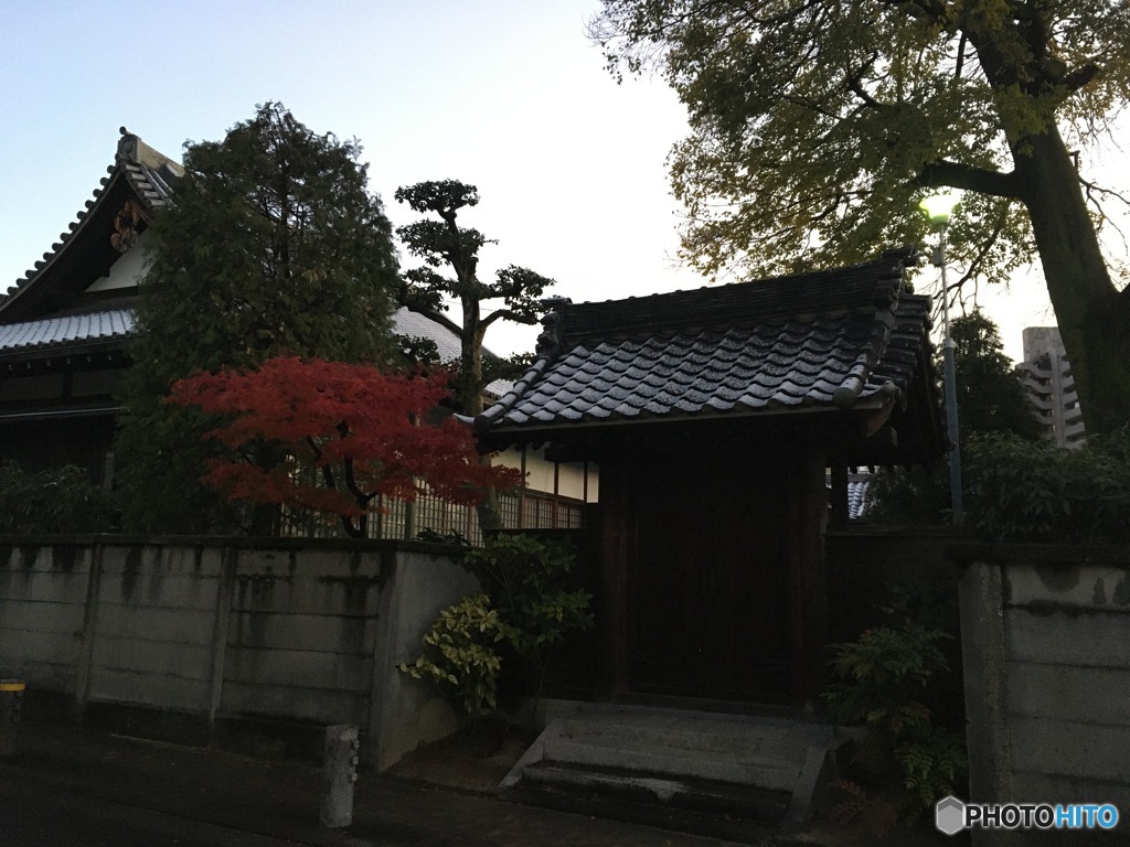 紅葉に雪化粧