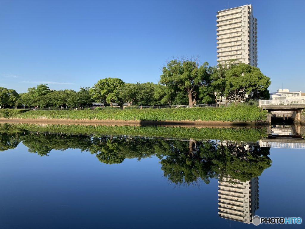 朝から夏空