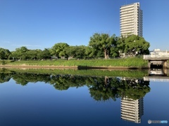 朝から夏空