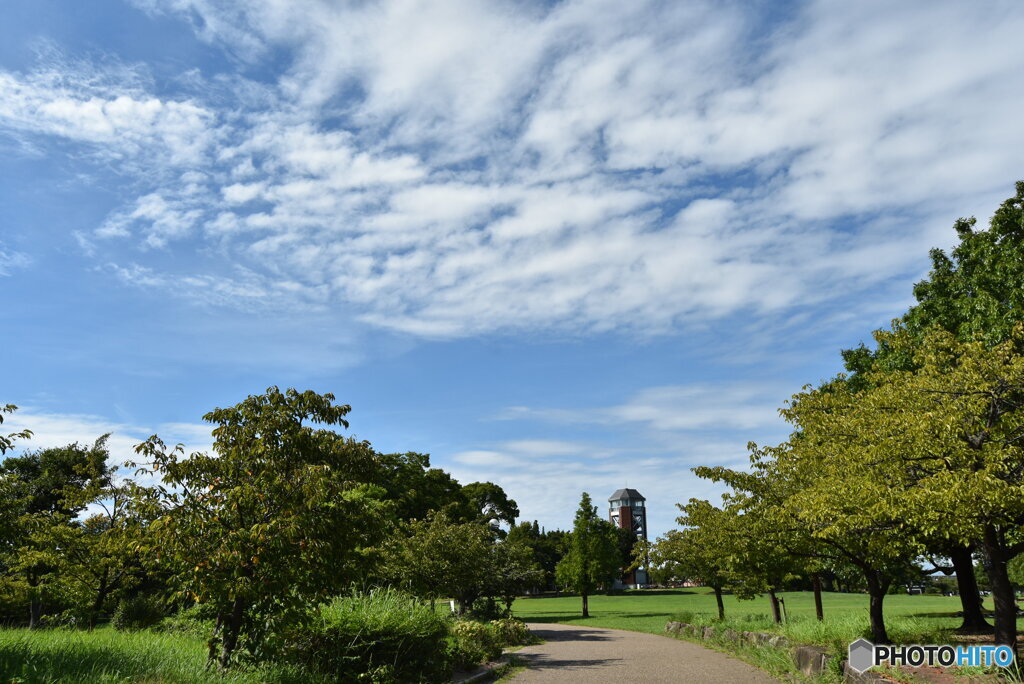 夏空の公園