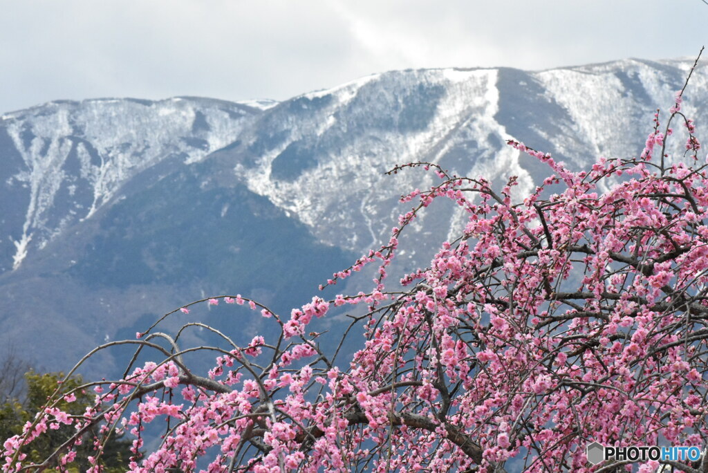 雪解け間近