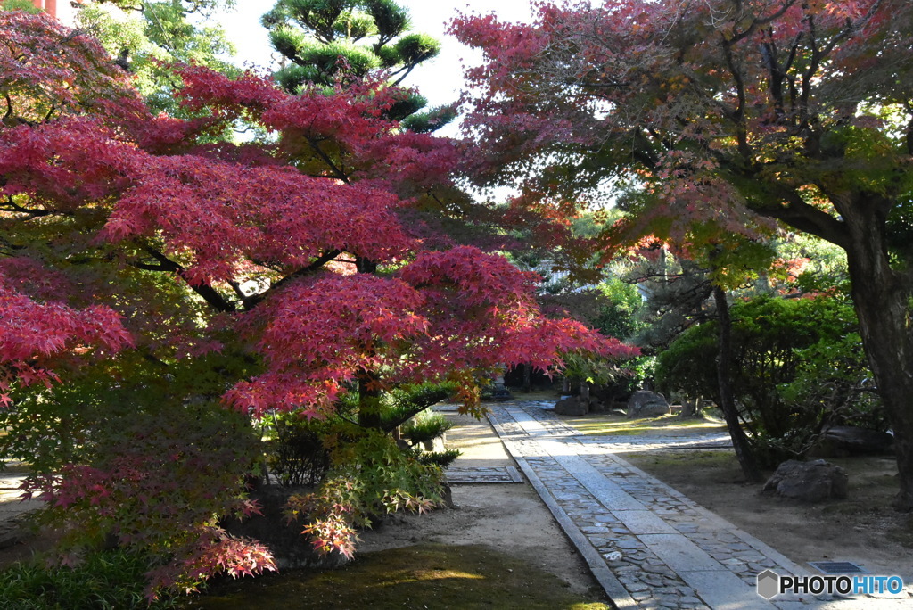 境内の紅葉