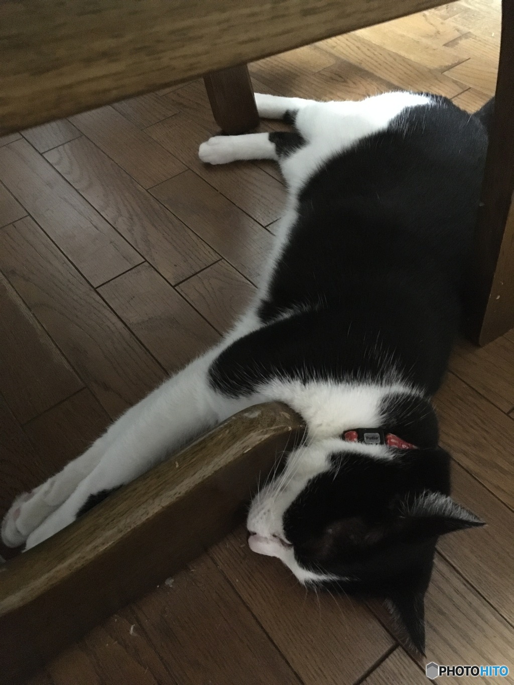 苦しくないの？
