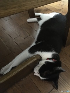 苦しくないの？