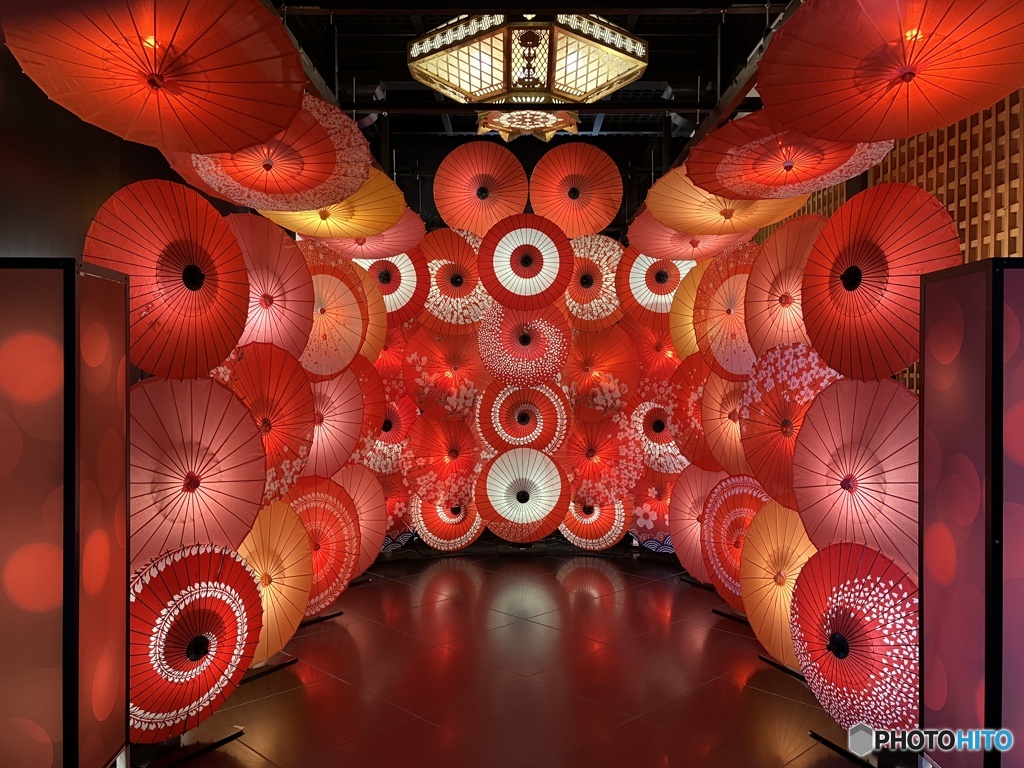 和傘アートとの出会い