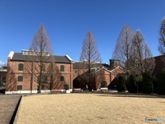 レンガの工場跡