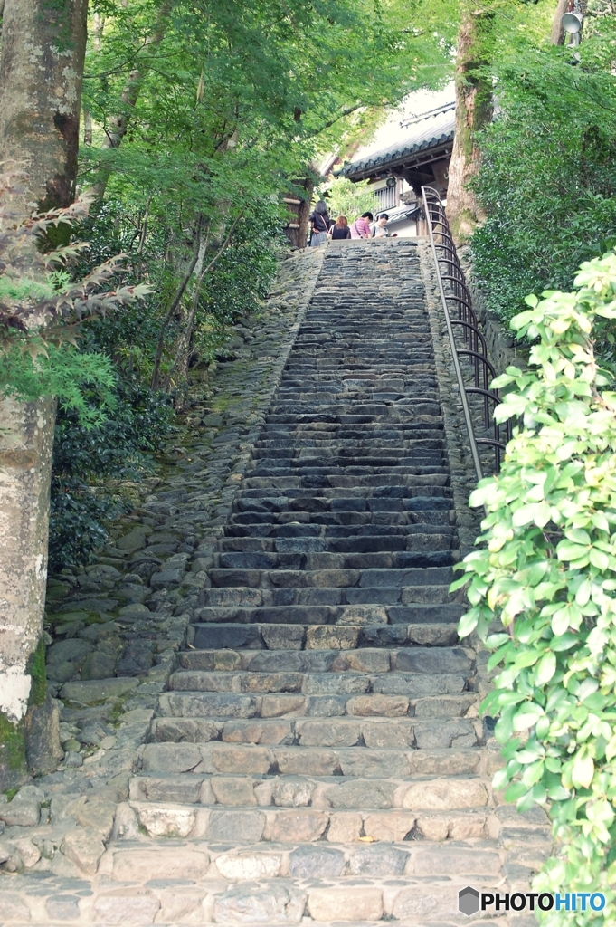 古都～鈴虫寺