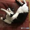 いつもの寝返り