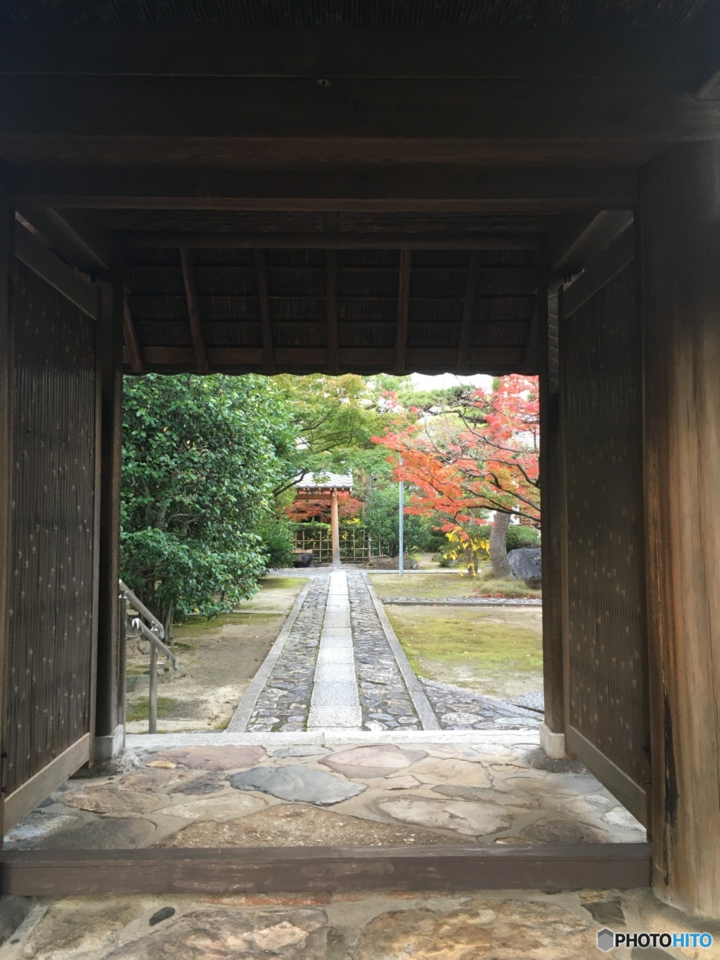 街中の秋