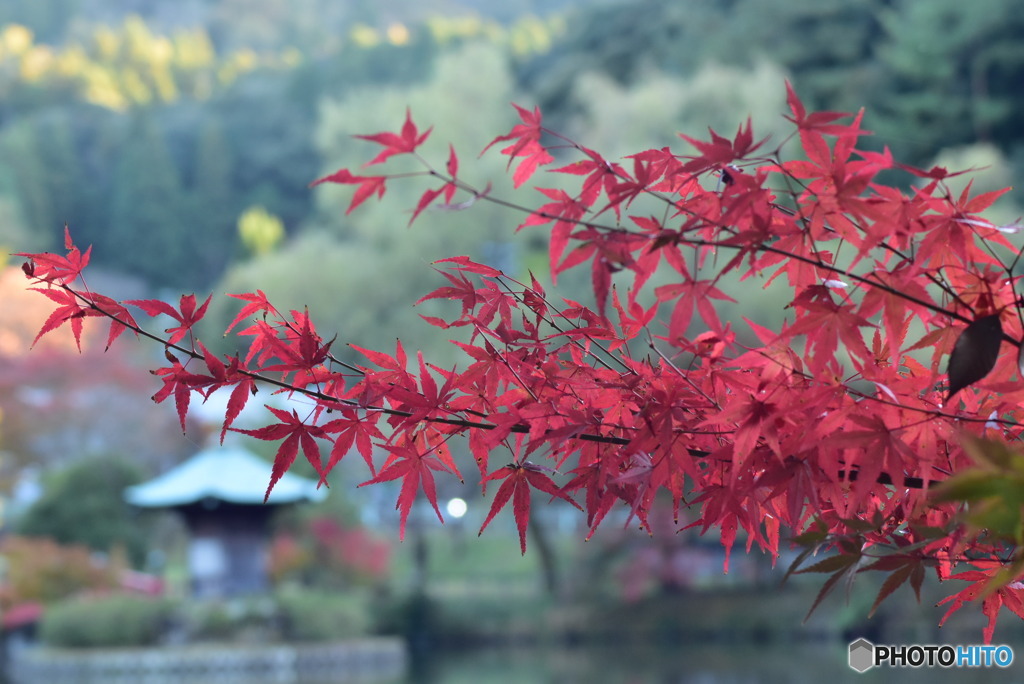 秋景色
