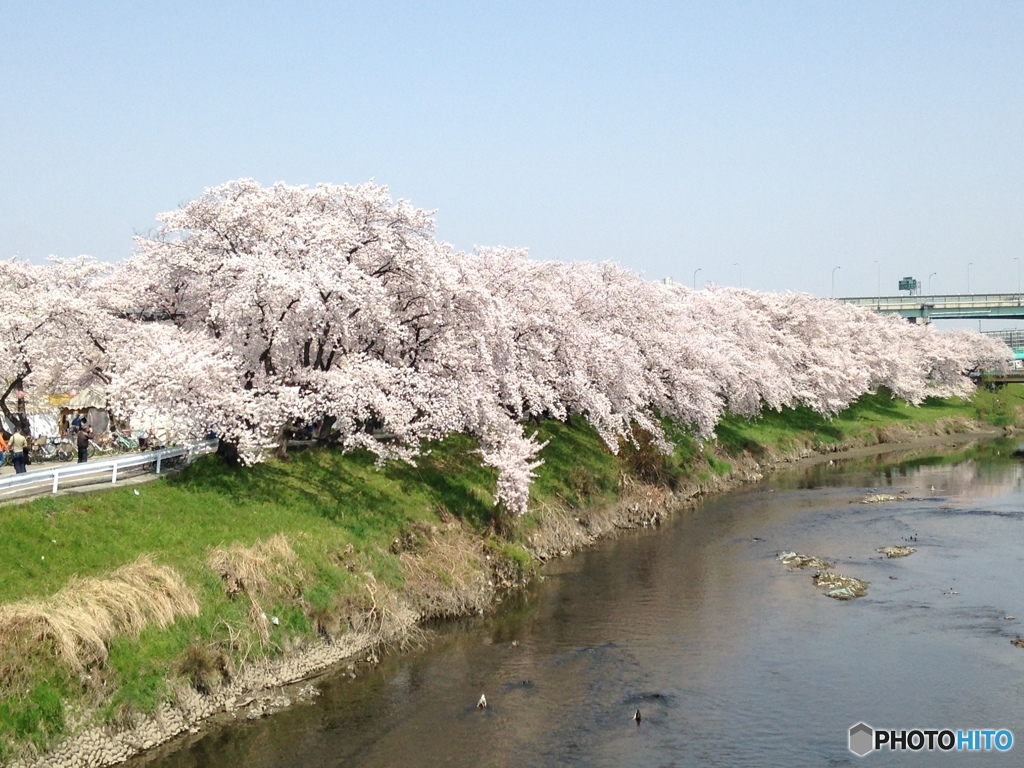 週末まで待てない