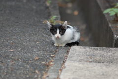 びっくりさせちゃった?