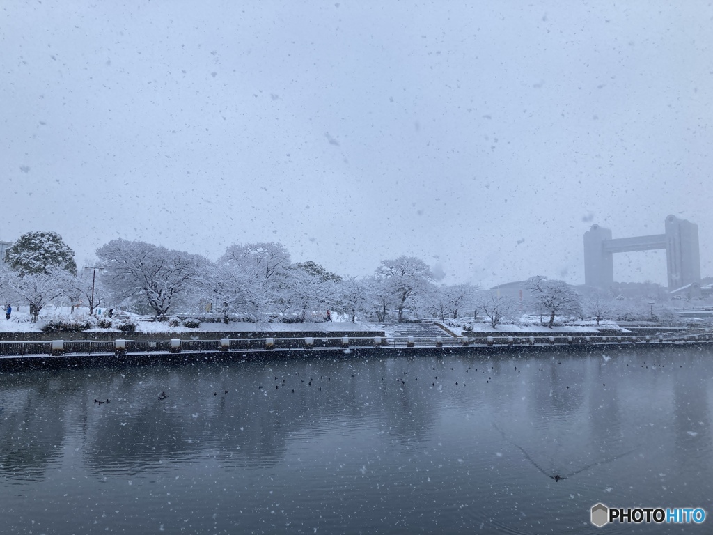 雪景色