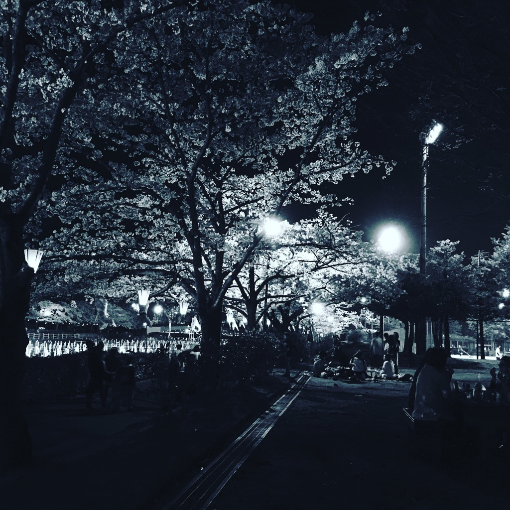 館林 夜桜