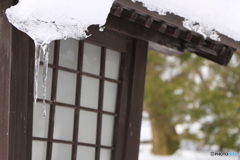 那須温泉神社その4