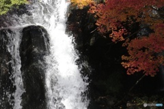 流れる滝。照る紅葉。