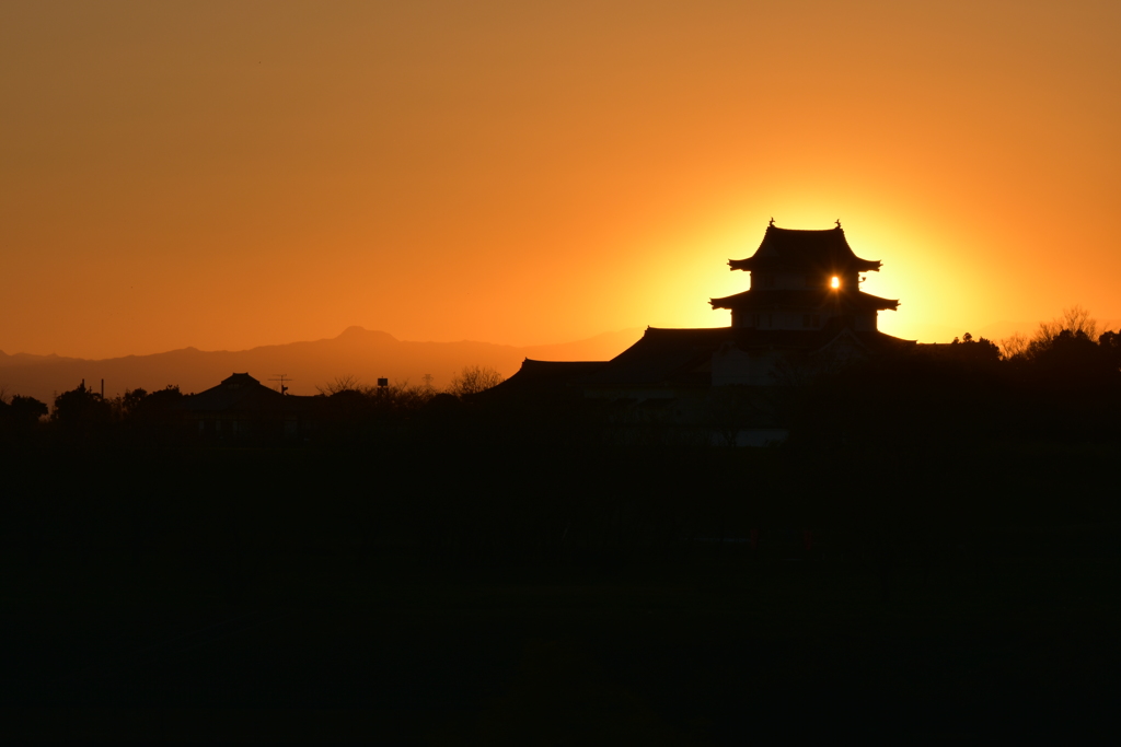 関宿城に夕日