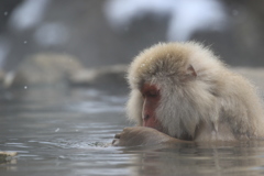 地獄谷温泉