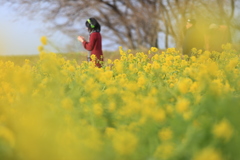 琵琶湖  なぎさ公園