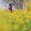 琵琶湖  なぎさ公園