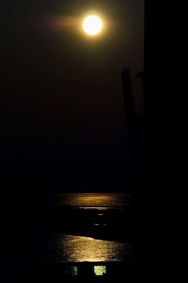 10270644_600693710056998_173261027544129