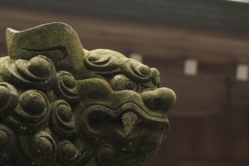 10922425_660514304074938_662671685310392