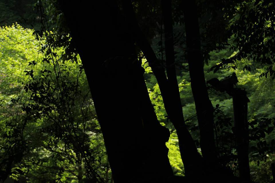 10930089_648340785292290_698377725944065