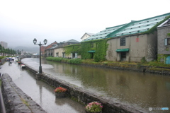 雨の小樽運河