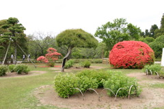 庭園シリーズ　偕楽園