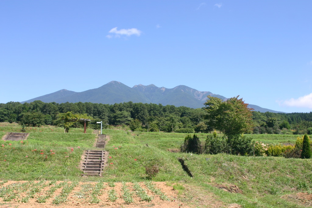 日本の風景