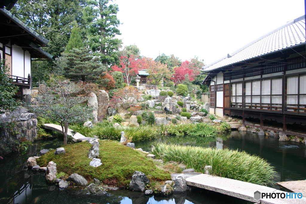 山水の庭園もいい