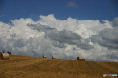 牧草ロールと湧き上がる雲