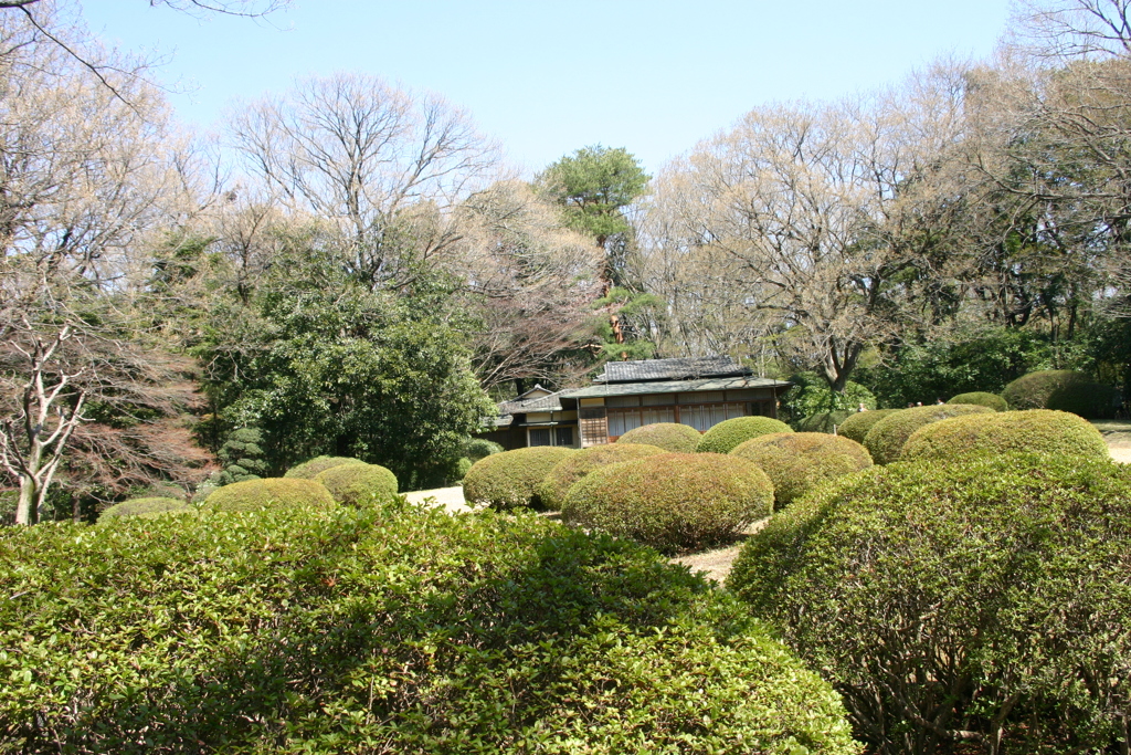 明治神宮御苑