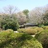 明治神宮御苑